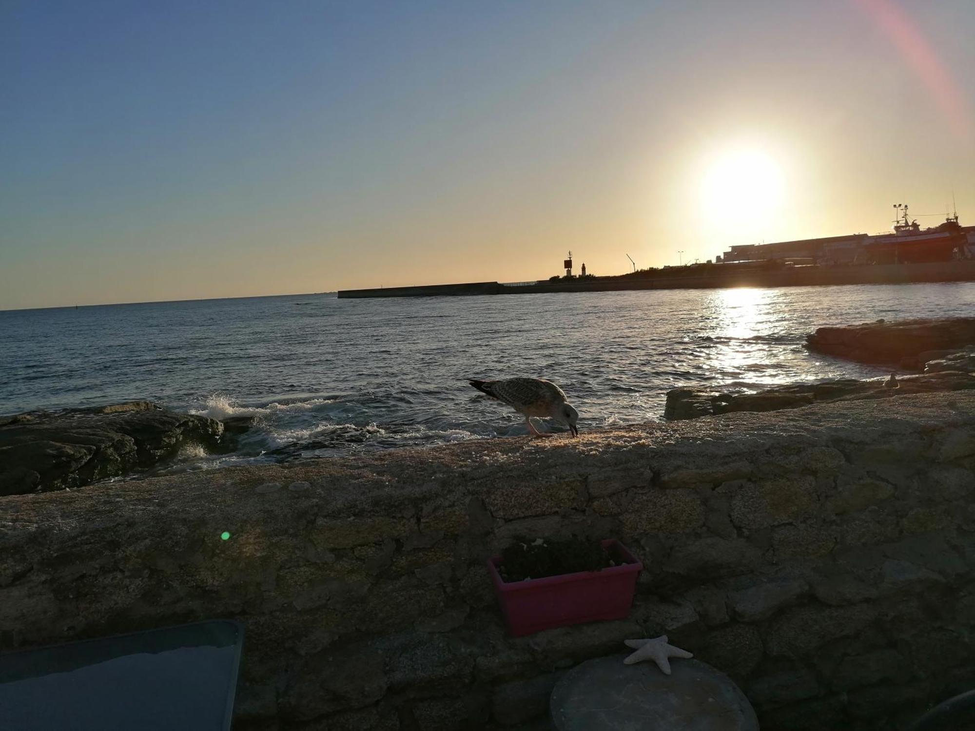 Rose D'Ecumes Bed & Breakfast Tréffiagat Rom bilde